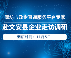 廊坊市政企直通服务平台专家组一行赴文安县企业走访调研(一)